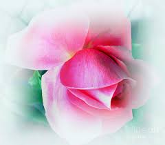 Gentle