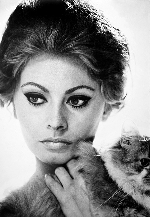 Sophia Loren