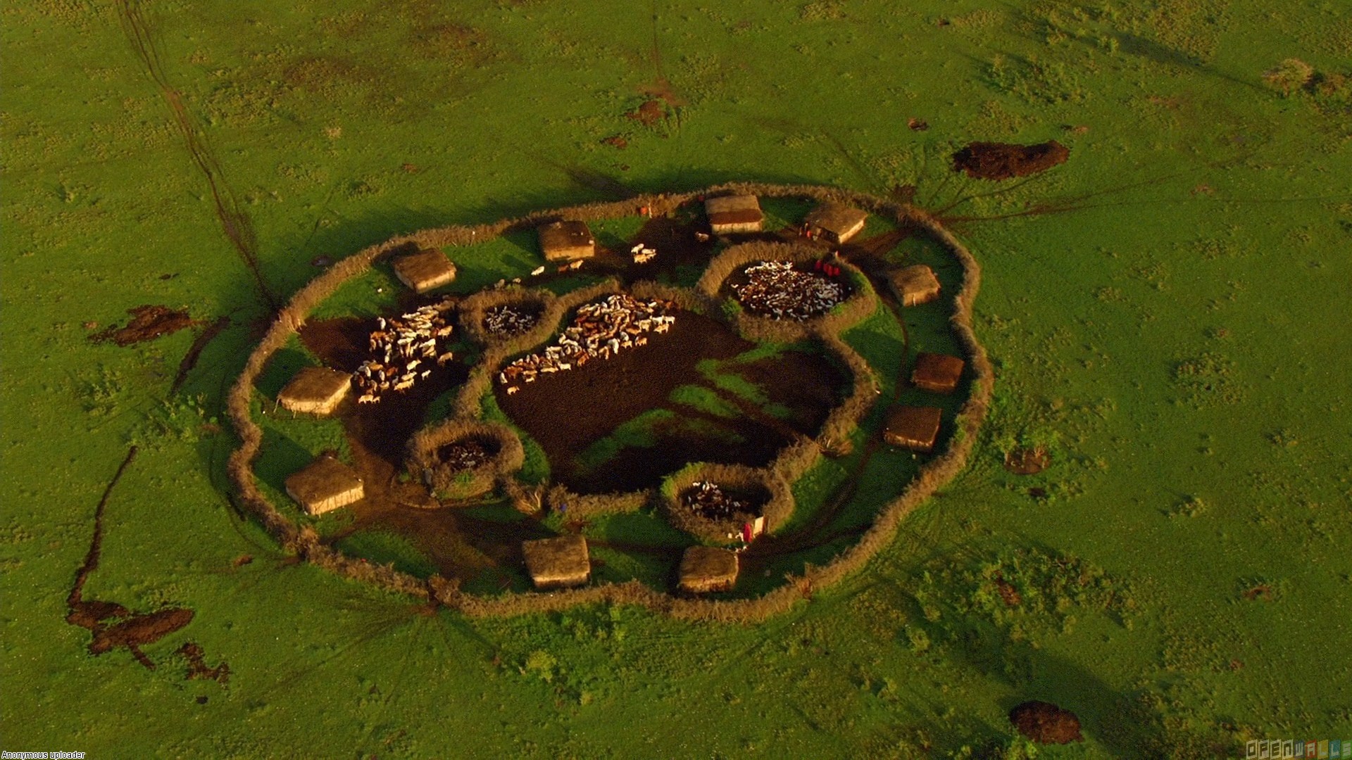 settlements_civilization