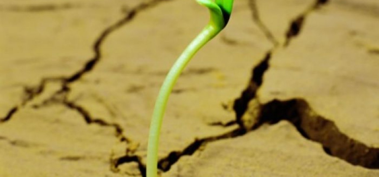 How the 12 Ascendants Start NEW BEGINNINGS In LIFE