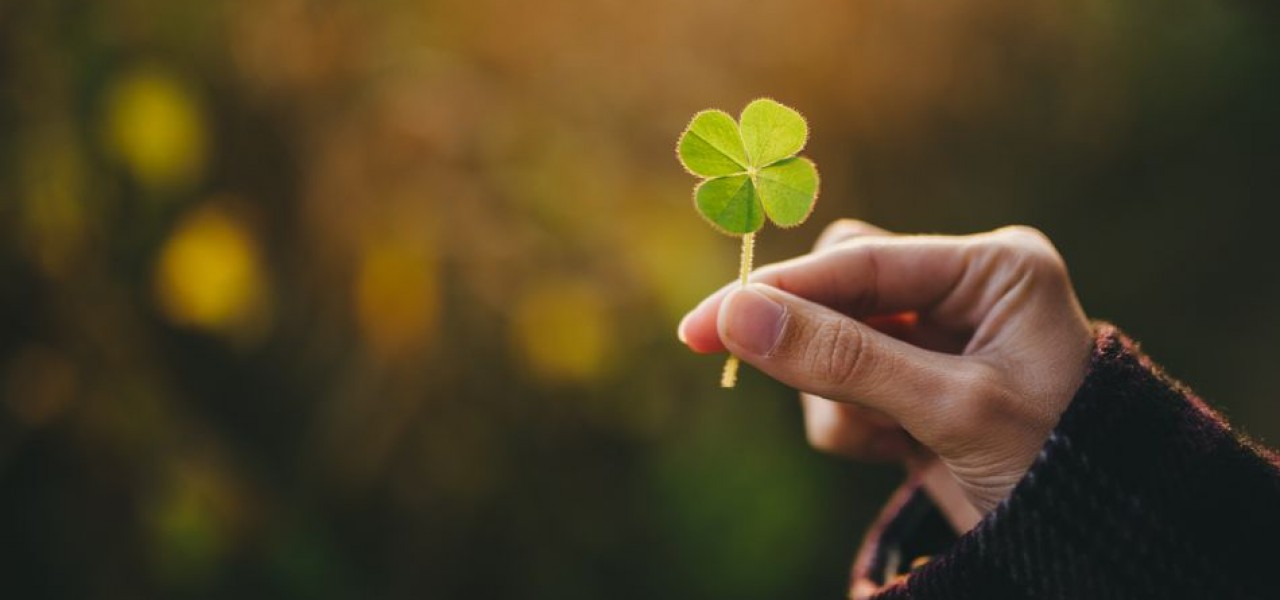 Who Brings you GOOD and BAD Luck?